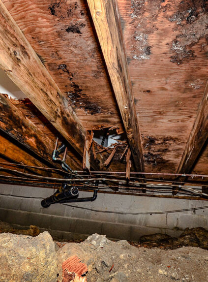 Broken Crawlspace Wood